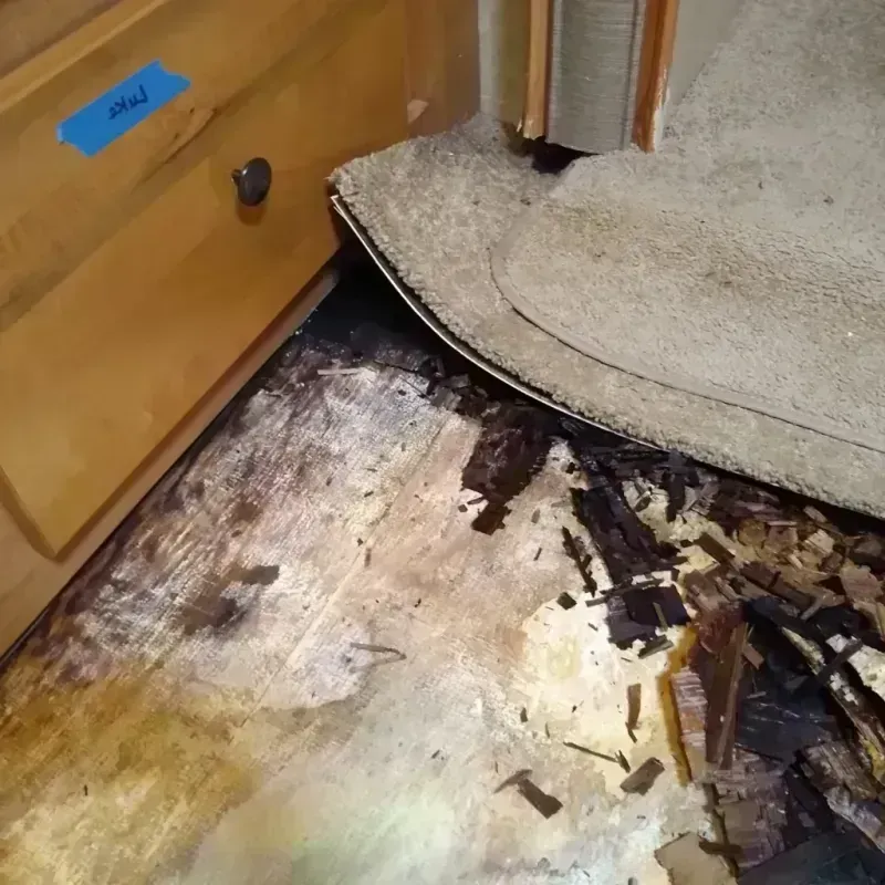 Best Wood Floor Water Damage Service in Burlington, WI